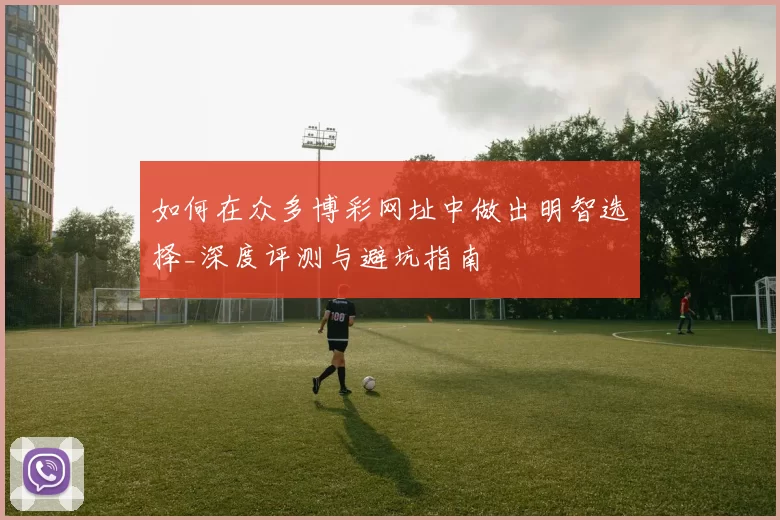 如何在众多博彩网址中做出明智选择_深度评测与避坑指南