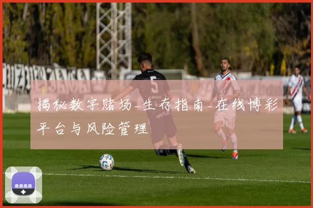 揭秘数字赌场_生存指南_在线博彩平台与风险管理