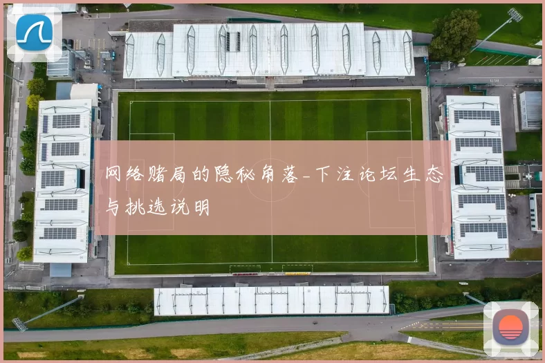 网络赌局的隐秘角落_下注论坛生态与挑选说明
