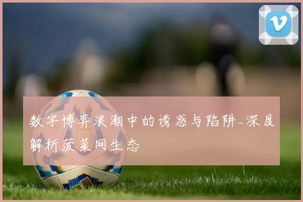 数字博弈浪潮中的诱惑与陷阱_深度解析菠菜网生态