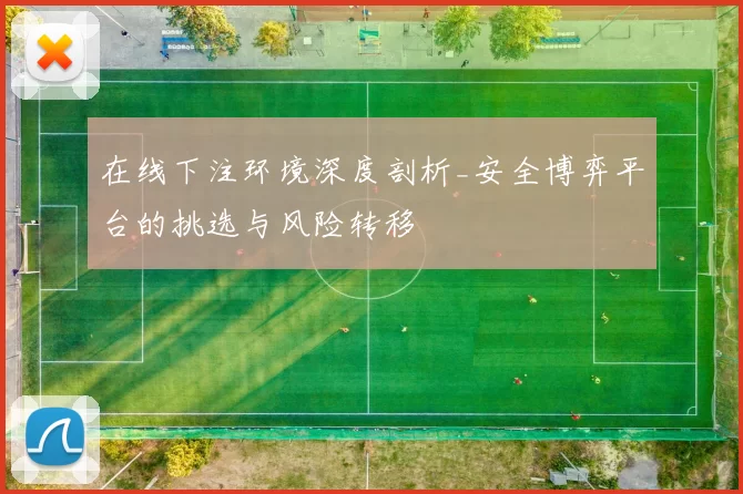 在线下注环境深度剖析_安全博弈平台的挑选与风险转移