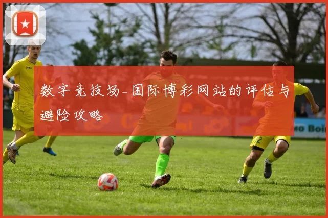 数字竞技场_国际博彩网站的评估与避险攻略