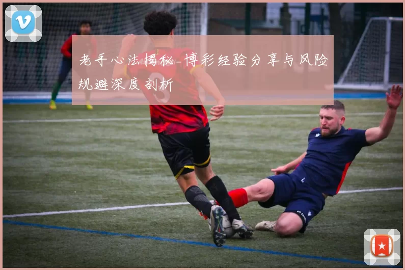 老手心法揭秘_博彩经验分享与风险规避深度剖析