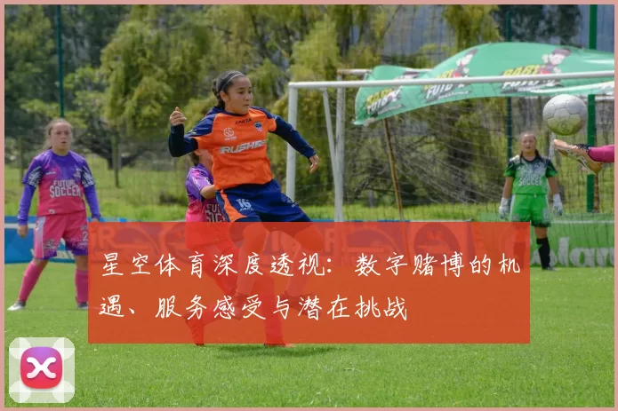 星空体育深度透视：数字赌博的机遇、服务感受与潜在挑战