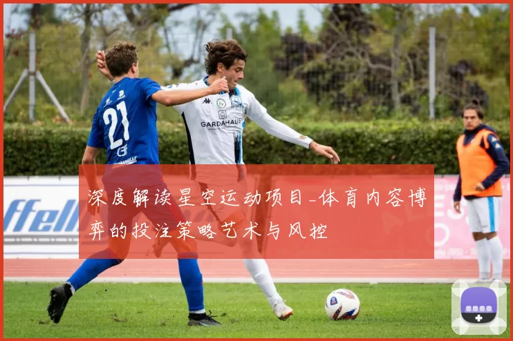 深度解读星空运动项目_体育内容博弈的投注策略艺术与风控