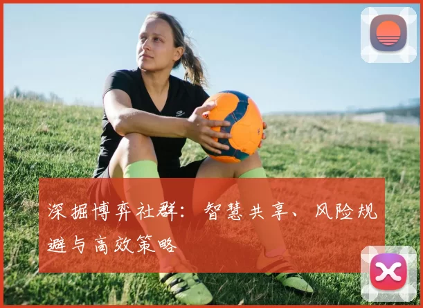 深掘博弈社群：智慧共享、风险规避与高效策略