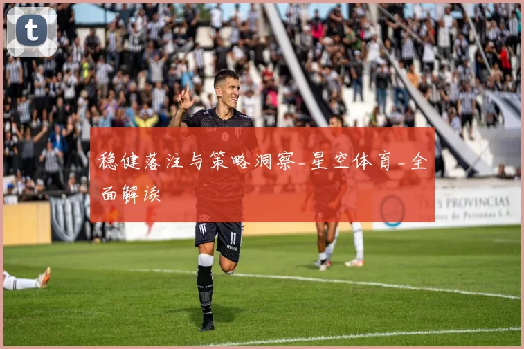 稳健落注与策略洞察_星空体育_全面解读