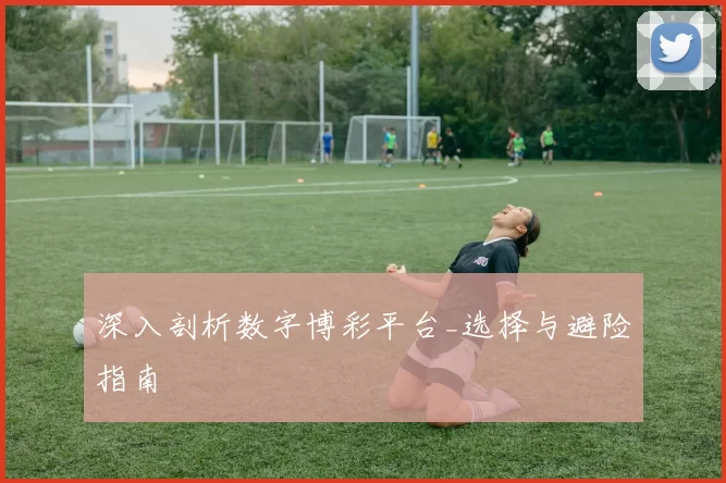 深入剖析数字博彩平台_选择与避险指南
