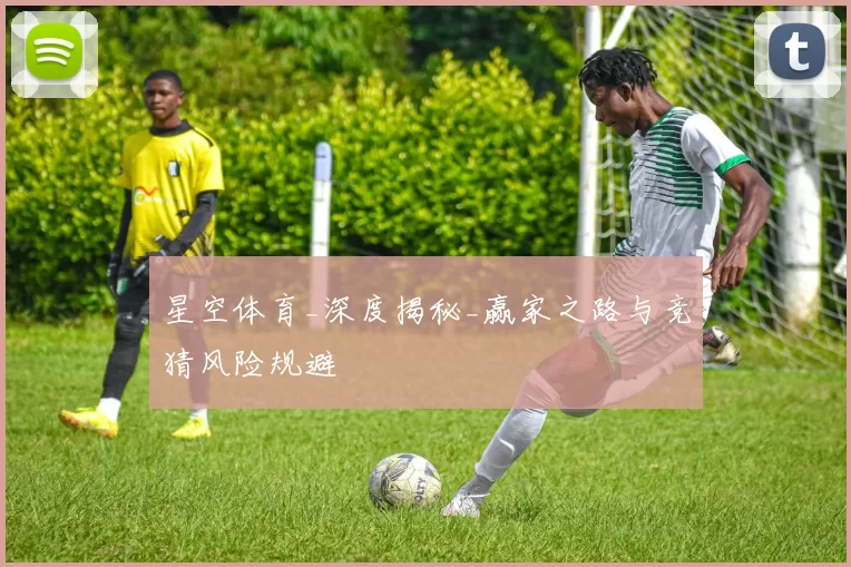 星空体育_深度揭秘_赢家之路与竞猜风险规避