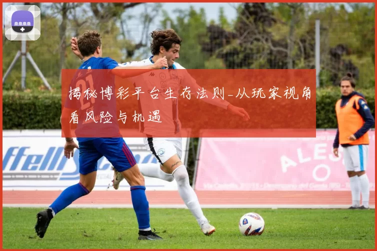 揭秘博彩平台生存法则_从玩家视角看风险与机遇