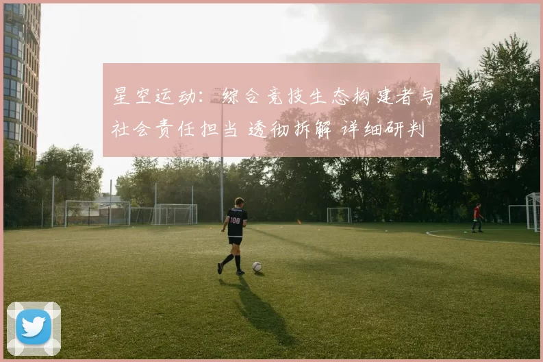 星空运动：综合竞技生态构建者与社会责任担当 透彻拆解 详细研判 深度解析